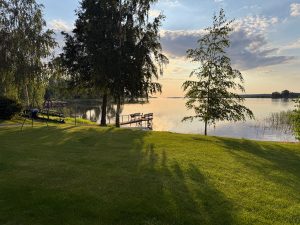 Pikkuhelmi: näkymä pihalle heinäkuussa